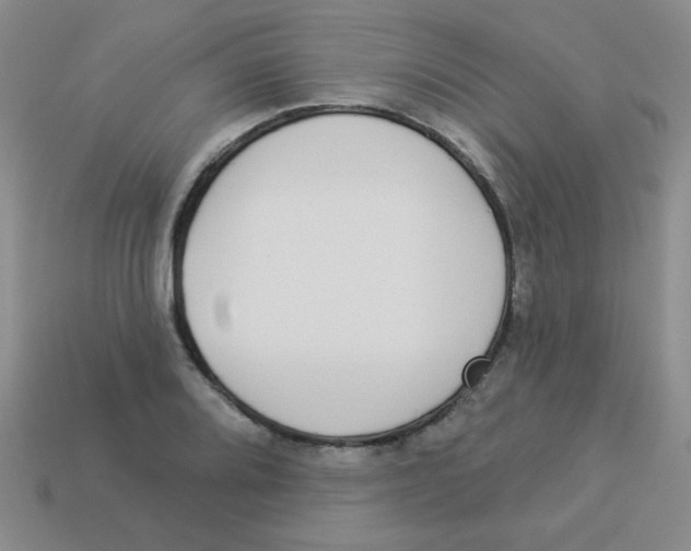 X0000113361080200910131255