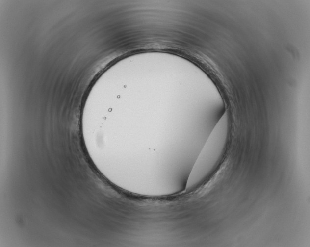 X0000113361081200910131255