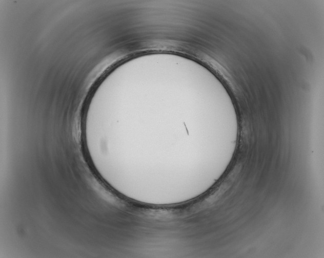 X0000113361082200910131255