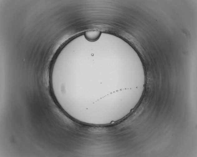 X0000113361083200910131255