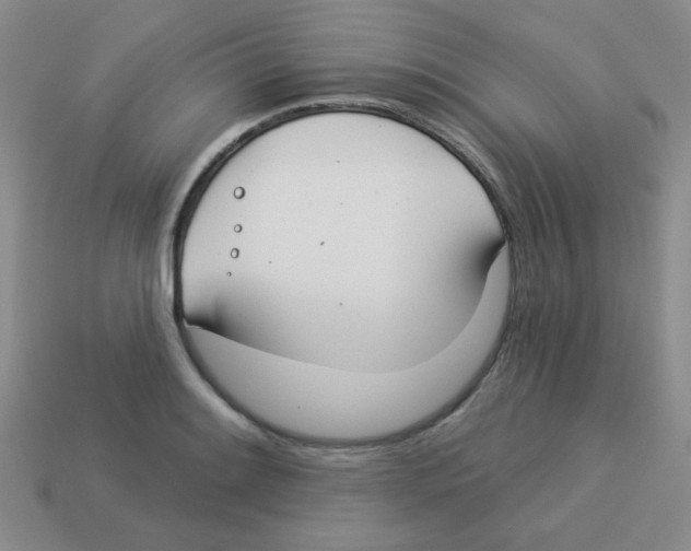 X0000113361084200910131255