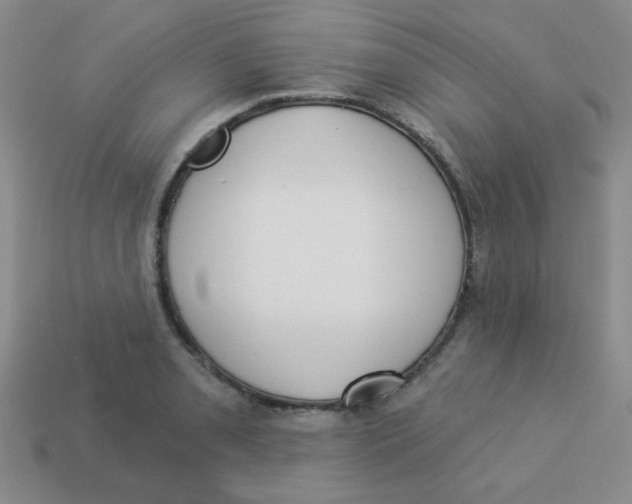 X0000113361085200910131255