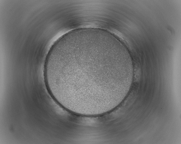 X0000113361086200910131255