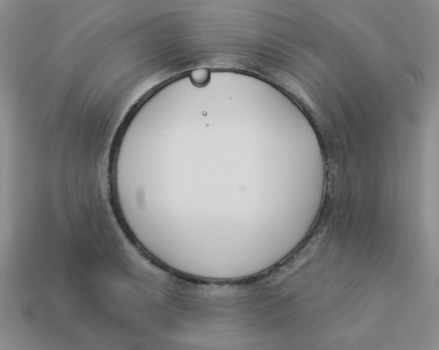 X0000113361087200910131255