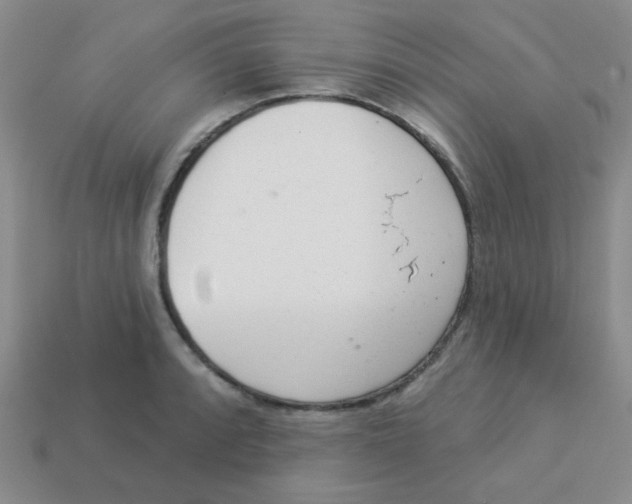 X0000113361088200910131255