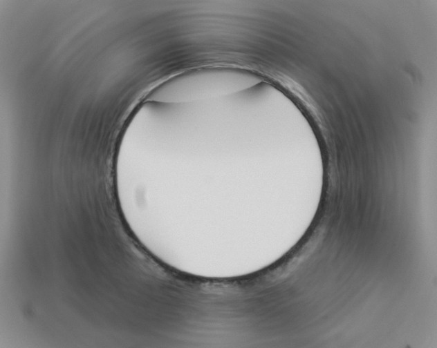 X0000113361089200910131255