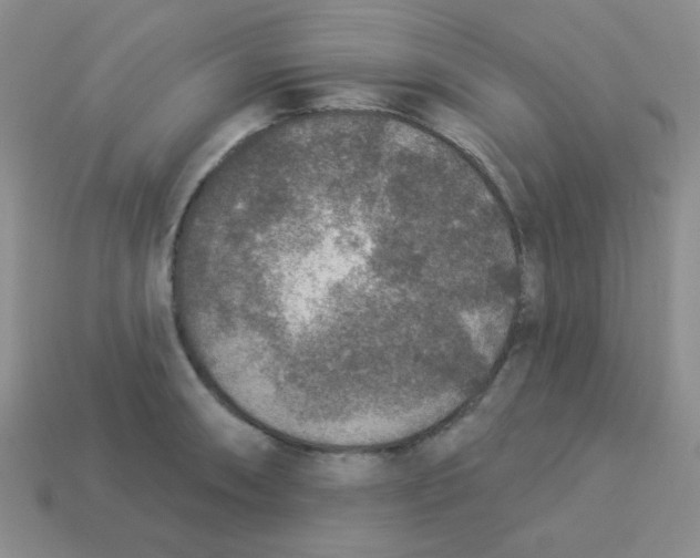 X0000113361090200910131255