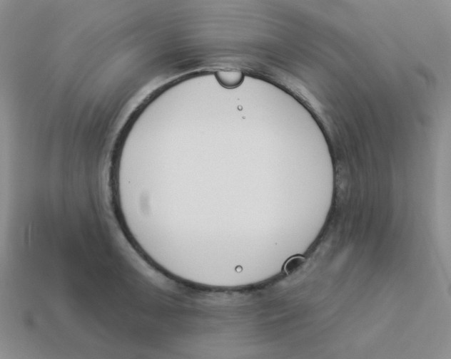 X0000113361091200910131255