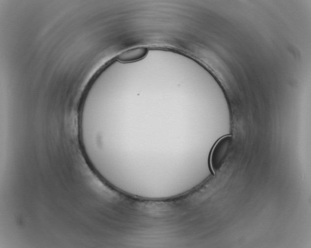 X0000113361092200910131255