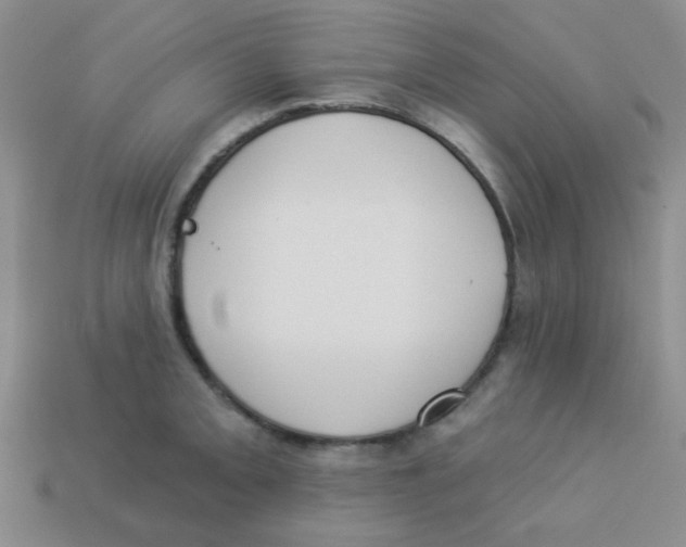 X0000113361093200910131255