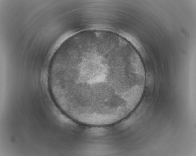 X0000113361094200910131255