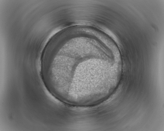 X0000113361095200910131255