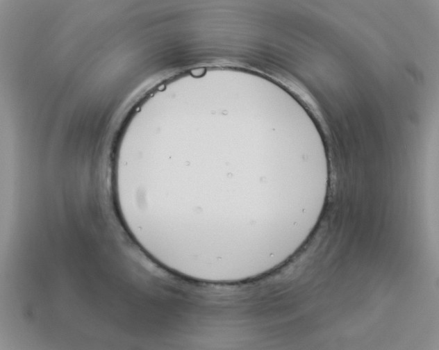 X0000113361096200910131255