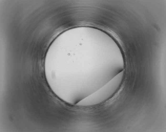 X0000113361097200910131255