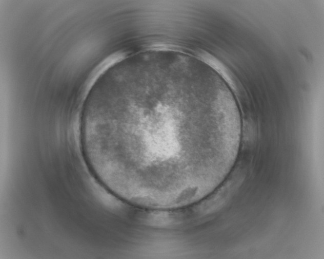 X0000113361098200910131255