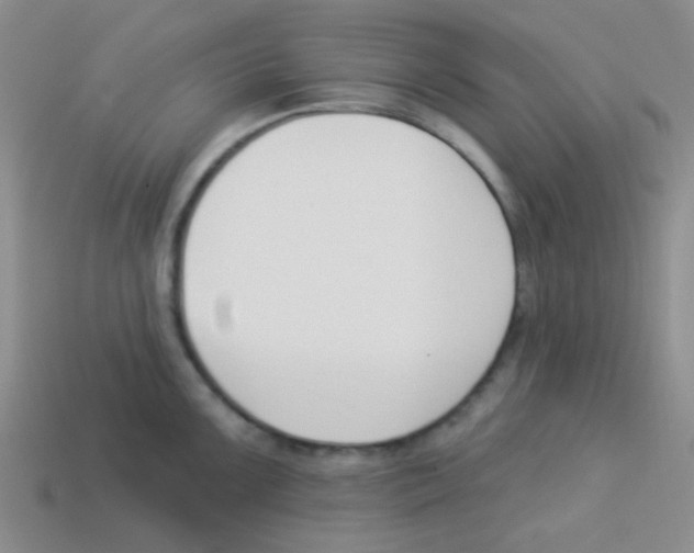 X0000113361099200910131255