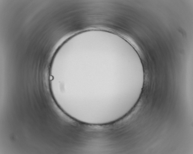 X0000113361100200910131255