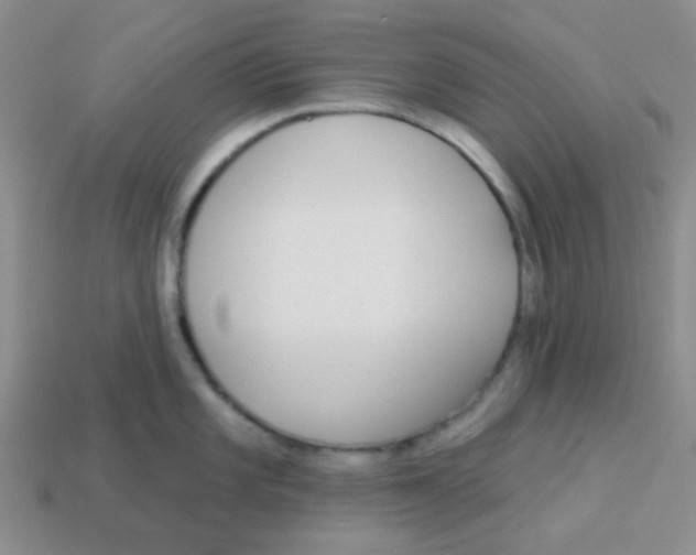 X0000113361101200910131255