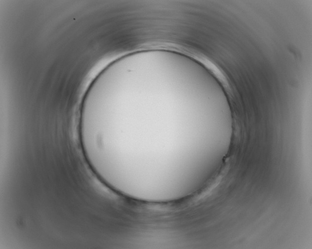 X0000113361102200910131255