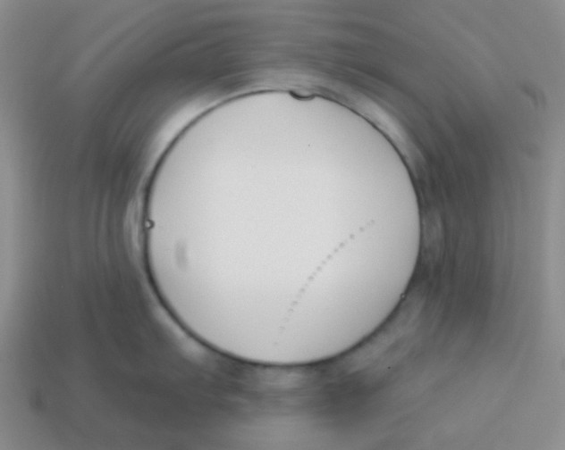 X0000113361103200910131255