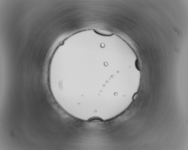 X0000113361104200910131255