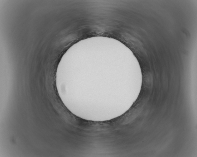 X0000113361105200910131254