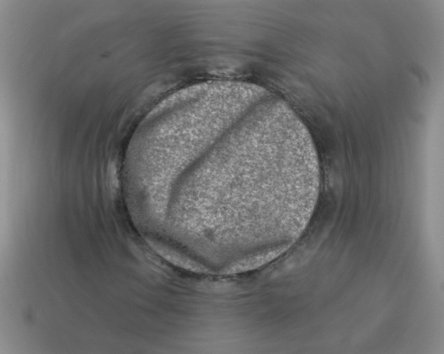 X0000113361106200910131254