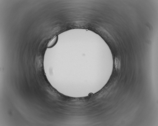 X0000113361107200910131254