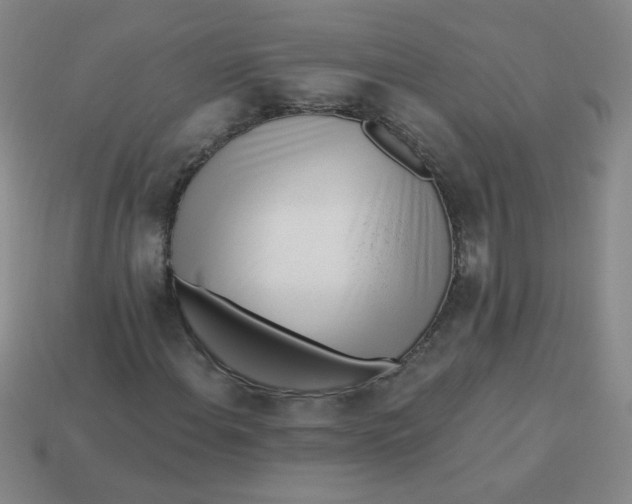 X0000113361108200910131254