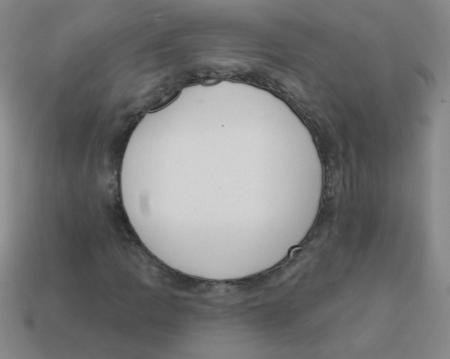 X0000113361109200910131254