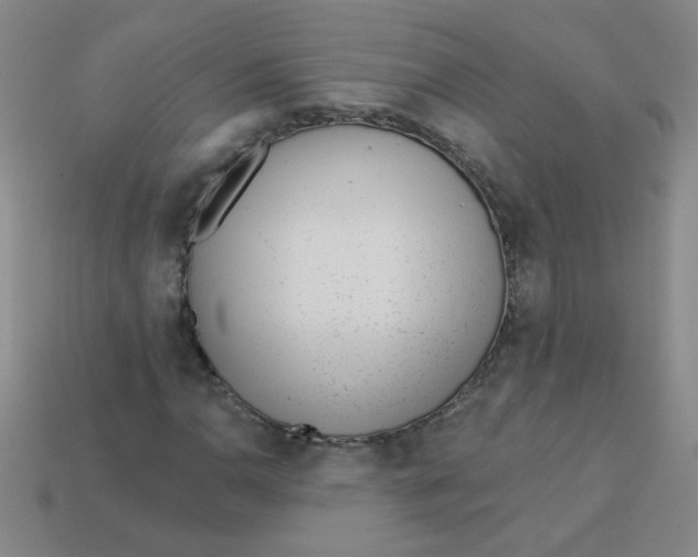 X0000113361110200910131254