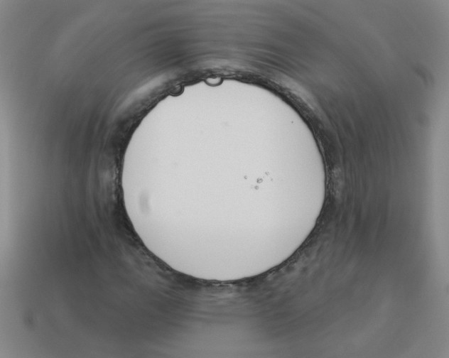 X0000113361111200910131254