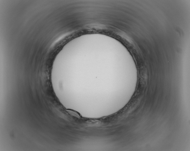 X0000113361112200910131254