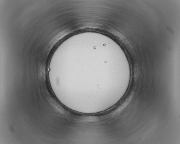 X0000113361113200910131254