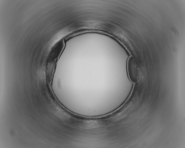 X0000113361114200910131254