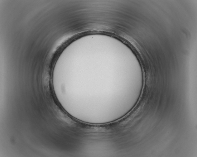 X0000113361115200910131254