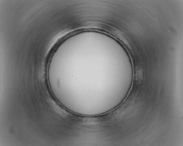 X0000113361116200910131254