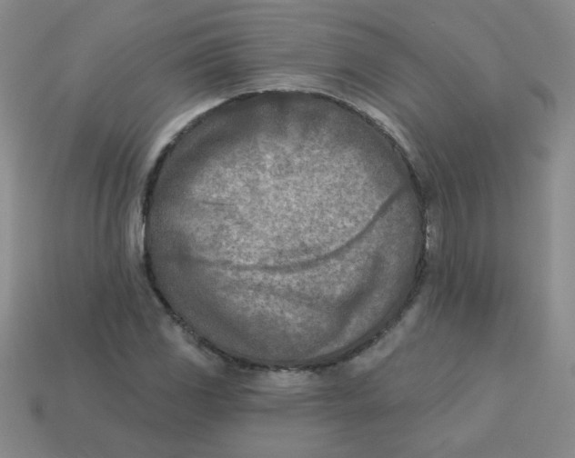 X0000113361117200910131255