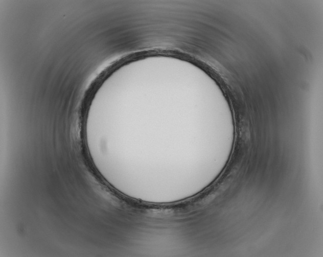 X0000113361118200910131255