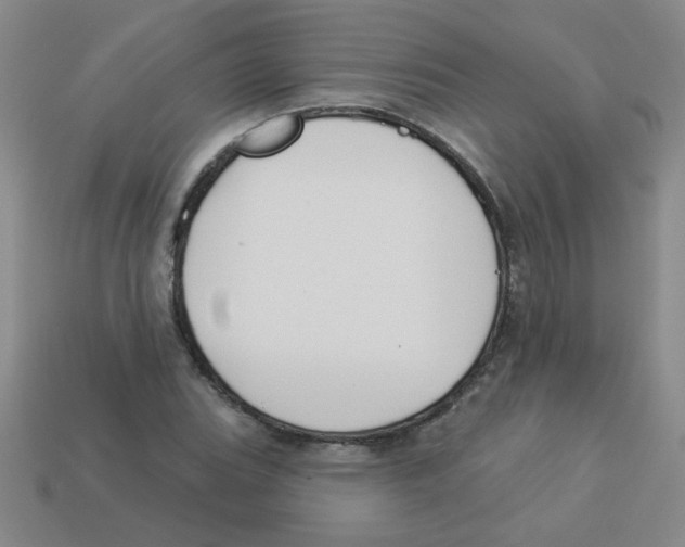 X0000113361119200910131255