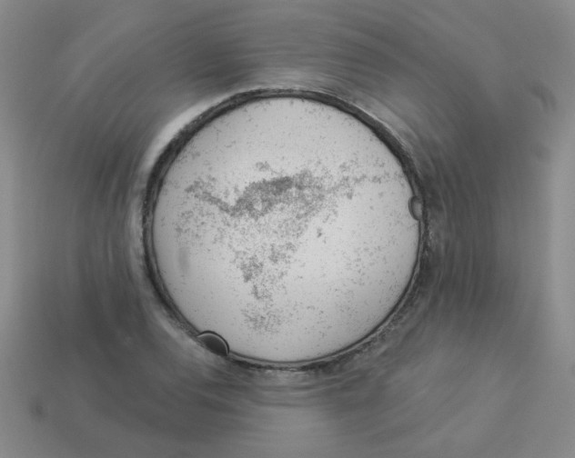 X0000113361120200910131255