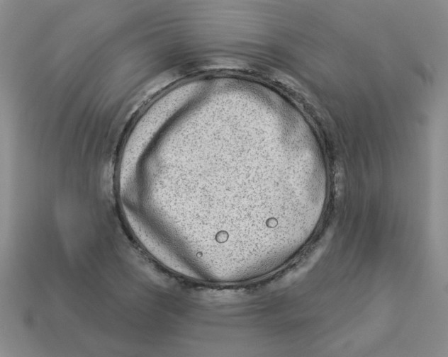 X0000113361121200910131255