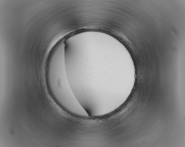 X0000113361122200910131255