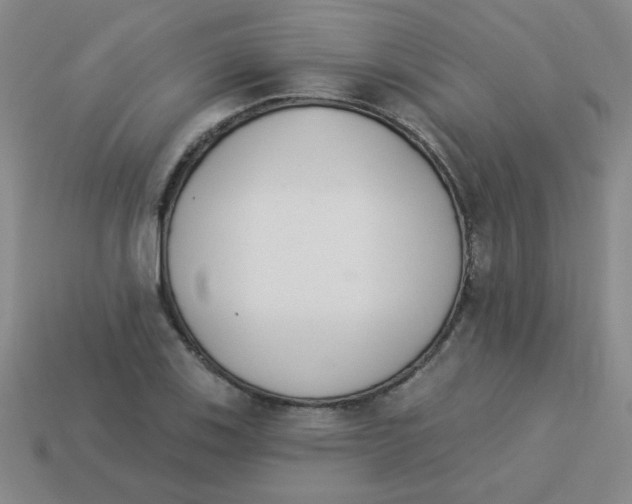 X0000113361123200910131255