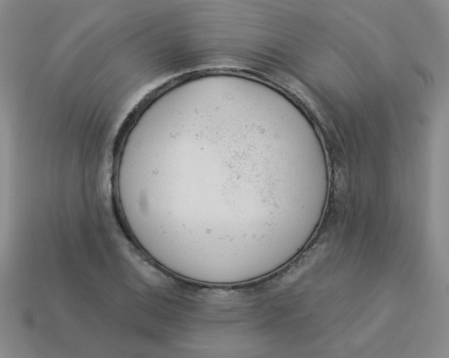 X0000113361124200910131255