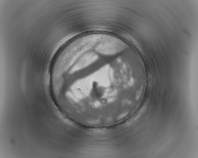 X0000113361125200910131255