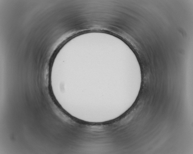 X0000113361126200910131255