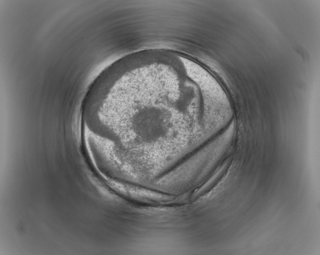 X0000113361127200910131255