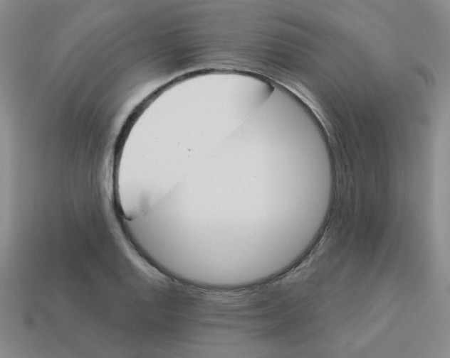 X0000113361128200910131255