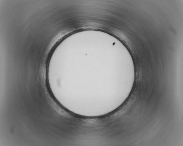 X0000113361130200910131255